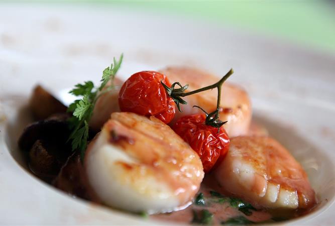 Coquilles Saint Jacques au Restaurant O'33 pres de Narbonne